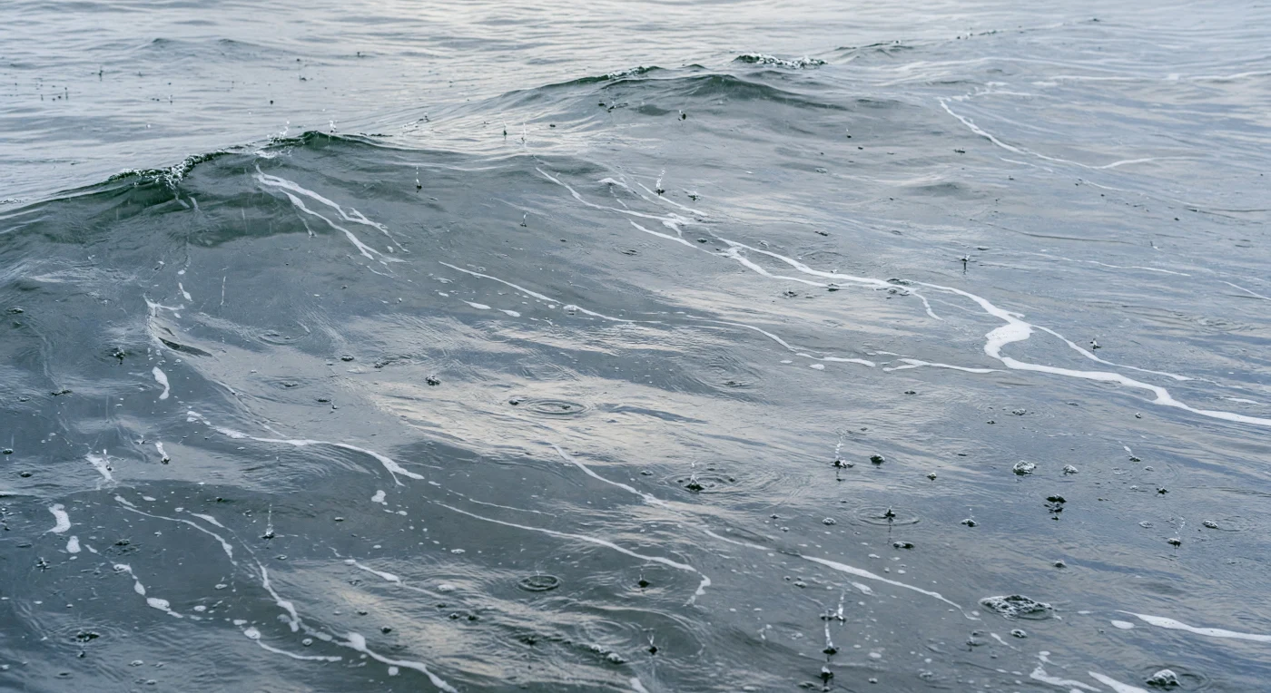 En la frontera más delgada y turbulenta del océano, donde la atmósfera y el mar se confunden en un umbral de apenas milímetros, la lluvia continua transforma la superficie en un campo vivo de impactos oblicuos: cada gota de agua dulce choca contra la piel salada del océano a velocidades de entre seis y nueve metros por segundo, excavando microcráters efímeros, coronas asimétricas deformadas por el viento y columnas capilares que se disuelven antes de completarse, mientras el oleaje de fuerza cuatro avanza en facetas grises y verde pizarra bajo una luz difusa de cielo cubierto que no proyecta sombras ni dirección alguna. La energía cinética de los impactos inyecta en los primeros centímetros del agua una densa población de microburbújas que constituyen una de las fuentes acústicas naturales más intensas del océano superficial, generando un ruido de banda ancha —el llamado halo acústico de la lluvia— audible para los cetáceos y registrado por hidrófonos de fondo a kilómetros de distancia. Al mismo tiempo, cada impacto deposita una delgada lámina de agua dulce que rebaja localmente la salinidad de la microcapa superficial, perturbando los intercambios de gas —CO₂, oxígeno— entre el océano y la atmósfera y modulando la tensión superficial de esa película de apenas cien micrómetros de espesor en la que viven bacterias, lípidos y organismos del neuston. A un metro de profundidad, la turbulencia inducida por la lluvia ya se mezcla con la generada por el cizallamiento del viento, y la columna de agua superior queda homogeneizada en temperatura y salinidad, borrando la estratificación diurna y conectando la superficie con las capas inmediatamente inferiores de la capa de mezcla oceánica: un océano que se reorganiza a sí mismo en silencio, sin testigos, impulsado únicamente por la física elemental del agua que cae sobre el agua.