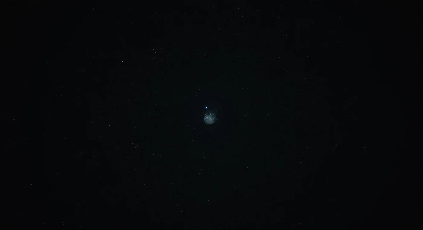 Dans le faisceau étroit des projecteurs du submersible, des particules de neige marine dérivent lentement comme une poussière d'étoiles gelée, seul mouvement perceptible dans une eau à moins de quatre degrés Celsius soumise à une pression de plus de deux cents atmosphères. À la limite exacte où la lumière artificielle capitule face à l'obscurité absolue, une femelle baudroie abyssale se tient immobile dans la colonne d'eau, révélée puis avalée par les ténèbres au rythme froid et régulier de son illicium bioluminescent bleu — un leurre chimique produit par des bactéries symbiotiques, seule lumière naturelle dans des millions de mètres cubes d'océan vide. Sa peau translucide laisse deviner une architecture intérieure fantomatique, et ses dents aciculaires captent par instants un reflet spectral avant de disparaître à nouveau dans le vide, rappelant que dans ces eaux où aucun photon solaire ne pénètre depuis des millénaires, la prédation repose entièrement sur la tromperie lumineuse et la patience absolue. Le silence est total, l'espace vertigineux, et la rencontre donne le sentiment troublant d'avoir surpris un organisme parfaitement adapté à un monde que l'évolution a optimisé pour l'invisibilité et la rareté.