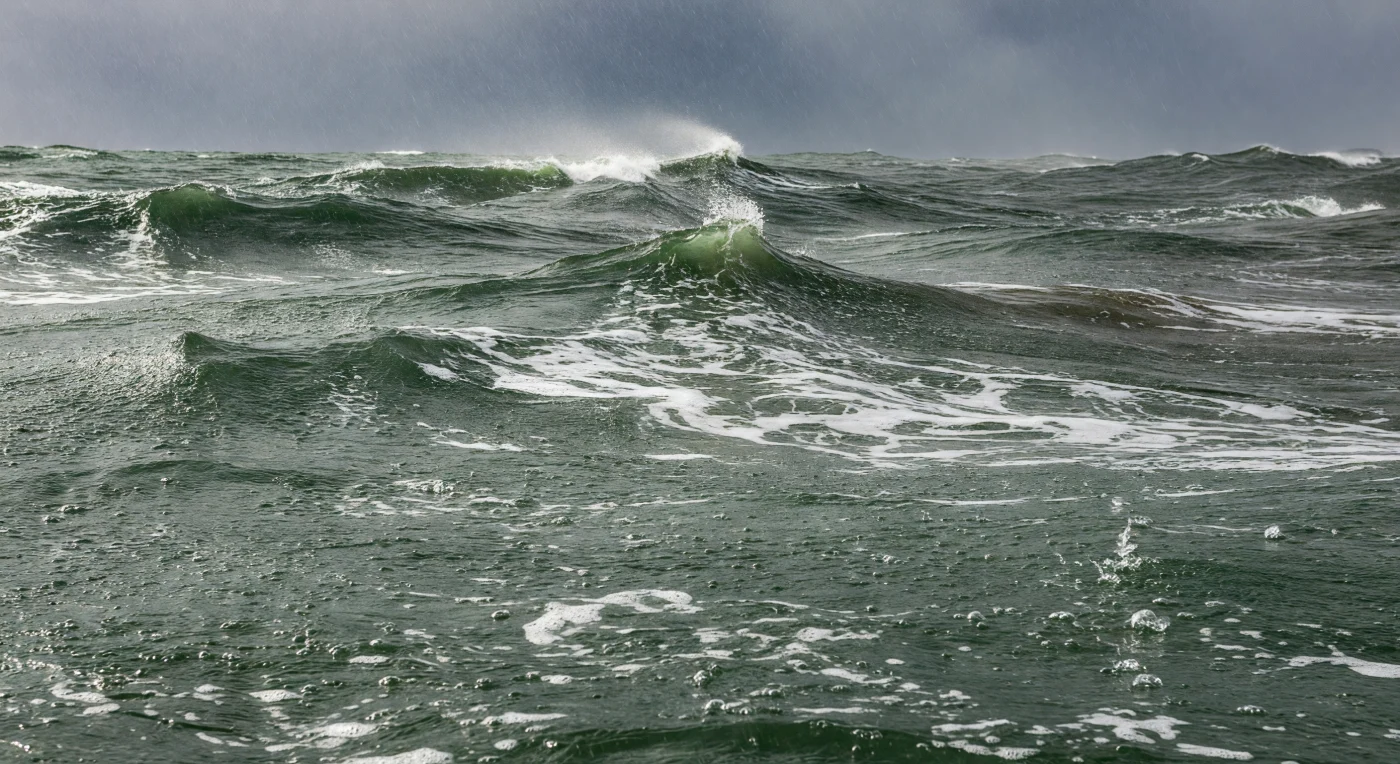 À la surface de l'océan, pendant un grain violent, la frontière entre l'air et l'eau cesse d'être une ligne et devient une zone de chaos organisé : chaque goutte de pluie frappe la mer à plusieurs mètres par seconde, creusant une micro-cratère éphémère, projetant une couronne de gouttelettes, puis s'effondrant en une colonne de bulles qui plongent sur quelques centimètres avant de remonter, injectant dans les premiers décimètres une suspension aérée aux propriétés acoustiques remarquables — ce halo sonore sous-marin, dense et continu, que génèrent des millions d'impacts par mètre carré chaque minute. La surface elle-même n'est plus une interface plane mais une peau convulsive : les vagues courtes et raides, bâties par le vent, se couvrent de spume arrachée en crêtes, de nappes de mousse brassées par la turbulence et sans cesse remodelées par les précipitations, tandis que la lumière du jour, filtrée par un ciel de stratus sombres, ne pénètre dans la colonne d'eau qu'affaiblie, diffuse, verdâtre, incapable d'éclairer plus de quelques mètres. En surface, le ruissellement de pluie dilue localement la salinité, créant de fugaces lentilles d'eau douce que le mélange mécanique des vagues détruira en quelques minutes, perturbant la microcouche superficielle — ce film d'un millimètre d'épaisseur où se concentrent les échanges de chaleur, de carbone et de matière organique entre l'océan et l'atmosphère — dans une turbulence que nulle présence n'observe, et qui existait bien avant que quiconque pense à la nommer.