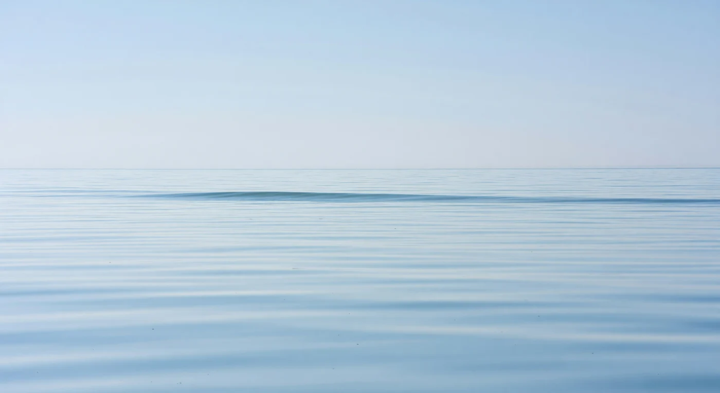 Alla superficie del mare, dove l'atmosfera e l'oceano si toccano in un equilibrio quasi irreale, l'acqua forma uno strato limite di appena pochi micrometri — la microstrato superficiale, o SML — ricca di tensioattivi naturali, lipidi, proteine e frammenti di materia organica disciolti che riducono la tensione superficiale e conferiscono a questa *mer d'huile* la sua caratteristica viscosità ottica. In assenza di vento significativo, la rugosità capillare si annulla quasi del tutto, e la superficie diventa uno specchio imperfetto che riflette il cielo pallido con lievi distorsioni elongate, interrotte solo dal passaggio di una singola onda lunga generata da perturbazioni atmosferiche lontane centinaia di chilometri. Appena sotto questa pellicola lucente, la colonna d'acqua oceanica ospita il **neuston** — organismi specializzati che vivono nell'interfaccia stessa, come le uova pelagiche di pesci teleostei, le larve veliger di molluschi e le cianobatteri filamentosi — mentre il fitoplancton della zona fotica sfrutta la luce solare che penetra in questi primi decimetri con efficienza massima, convertendo CO₂ atmosferico in materia organica attraverso la fotosintesi che sostiene quasi tutta la vita marina più in basso. Questo piano d'acqua immobile esiste da miliardi di anni, indifferente, scambiando gas e calore con l'atmosfera in un respiro planetario lentissimo, come se il silenzio stesso avesse una densità.