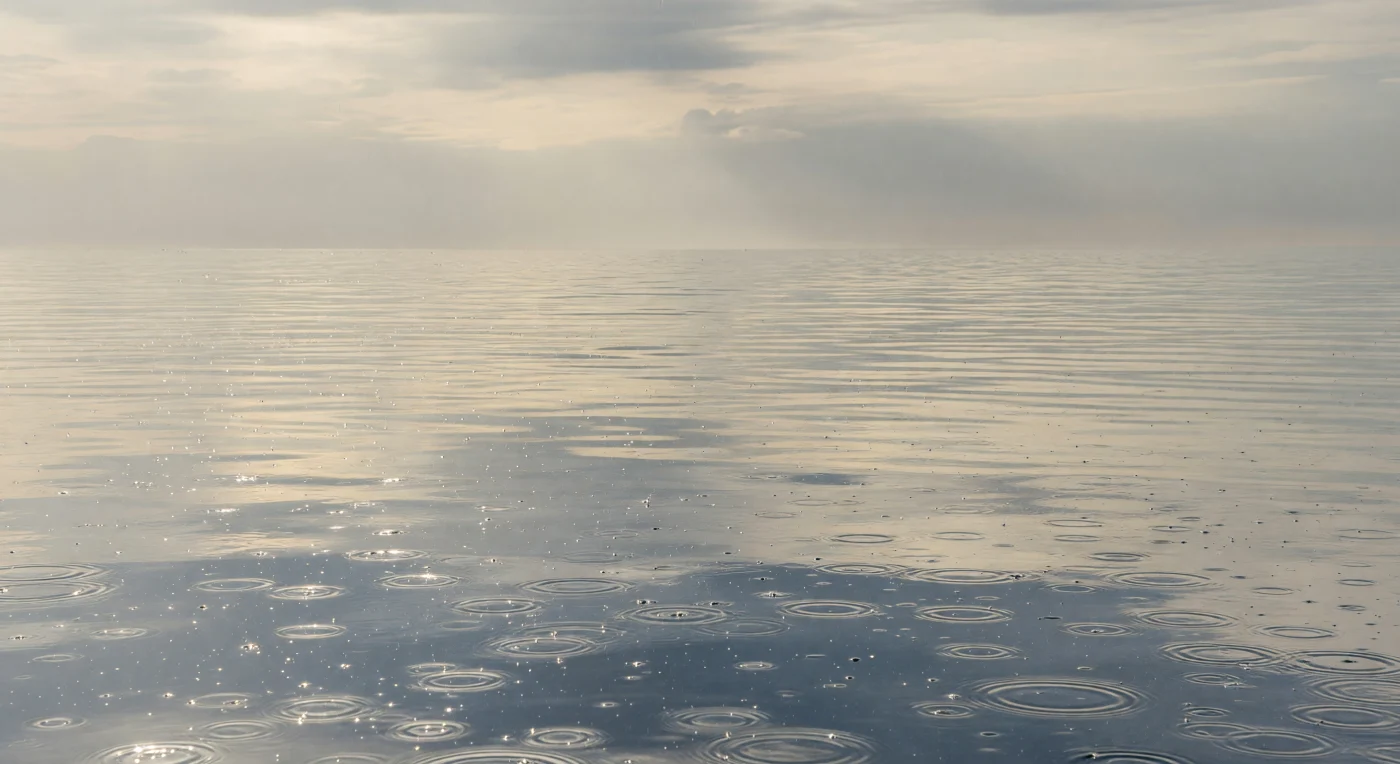 Sob um céu encoberto e quente, a superfície do oceano aberto revela-se como uma extensão quase perfeita de vidro líquido — uma *mer d'huile* interrompida apenas pelo toque suave da chuva fina. Cada gota que atinge a microcamada superficial do mar, essa película de espessura micrométrica rica em surfactantes orgânicos, lípidos e matéria biológica excretada pelo fitoplâncton e pelo neuston, gera coroas efémeras e anéis concêntricos que se propagam e interferem uns com os outros em padrões geométricos de delicada precisão. A esta interface ar-mar de Beaufort 0-1, a troca de gases entre a atmosfera e o oceano abranda quase por completo, enquanto a tensão superficial mantém intacta a microcamada, habitat de bactérias neuston, ovos de peixe à deriva e larvas pleuston que habitam este limiar invisível entre dois mundos. A luz difusa do céu encoberto filtra-se pela pele reflectora da água, penetrando os primeiros metros da coluna de água como um clarão suave de azul-acinzentado, iluminando partículas em suspensão — detritos orgânicos, células fitoplanctónicas, grãos minerais trazidos pelo vento — que derivam em silêncio no estrato fótico mais superficial. Aqui, sem testemunha e sem ruído, o oceano existe simplesmente como sempre existiu: uma fronteira viva entre a atmosfera e a profundidade, pontuada pela chuva, transformada momentaneamente num campo trémulo de círculos perfeitos.