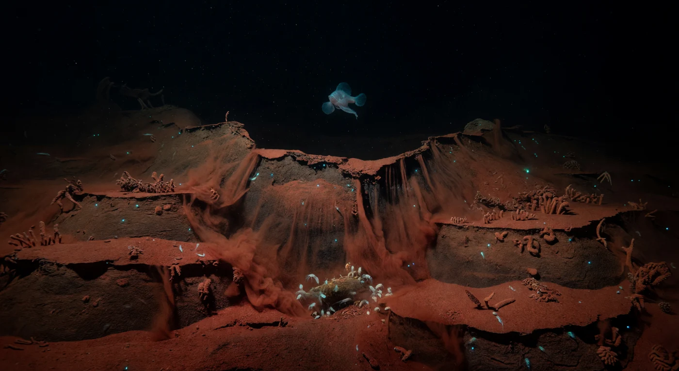 No extremo sudeste da Fossa das Marianas, a Sirena Deep mergulha abaixo dos onze mil metros, onde a pressão ultrapassa mil e cem atmosferas e a coluna de água acima pesa como uma montanha sólida sobre cada centímetro do fundo hadal. Uma cicatriz de deslizamento recente rasga o sedimento em terraços escalonados de silte rico em ferro, a borda superior arrancada com violência geológica e as prateleiras inferiores ainda macias com o material recém-depositado — uma lembrança de que mesmo este silêncio abissal é pontuado por colapsos súbitos e reorganizações da topografia hadal. Uma nuvem densa e lenta de partículas vermelho-ferrugem desce a encosta como fumo subaquático pesado, e ao longo da sua frente em movimento, minúsculos organismos bentónicos perturbados libertam centelhas de bioluminescência ciano e verde-azulado que desenham por instantes o contorno dos sedimentos em cascata, antes de se apagarem na escuridão total. Entre as escarpas, campos de xenofióboros sobreviventes estendem os seus frágeis corpos de uma só célula gigante sobre o sedimento intacto, enquanto enxames de anfípodes hadais pálidos disputam os tecidos de uma carcaça parcialmente soterrada perto da base do talude, e um peixe-lesma translúcido deriva imóvel acima da nuvem com as barbatanas abertas, habitante perfeito de um mundo que nunca precisou de nós para existir.