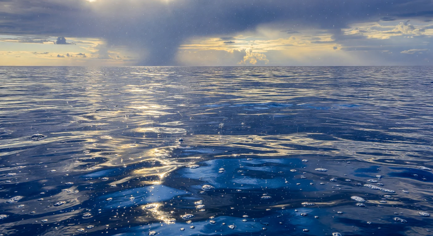 At the sea's uppermost skin — the few millimetres where atmosphere surrenders to ocean — a passing rain shower rewrites the surface in real time. Each raindrop arrives carrying kinetic energy sufficient to punch a concave crater several times its own diameter, eject a thin Worthington jet, and collapse back into a ring of capillary wavelets within fractions of a second; multiplied across millions of simultaneous impacts, this generates a continuous broadband acoustic field that propagates downward through the upper mixed layer as an invisible percussive halo, detectable by cetaceans and fish far below. The freshwater delivered by rainfall creates a transient haline lens only centimetres thick yet measurably lighter than the saline water beneath it, briefly stratifying the surface microlayer and suppressing turbulent exchange of heat and gas between ocean and atmosphere until wind stress eventually erases the anomaly. Low-angle sunlight breaking beneath the retreating cloud mass catches the roughened capillary texture at oblique incidence, fracturing into irregular caustic ribbons that tremble and split just centimetres below the interface, their geometry encoding the surface's constantly renegotiated topography of impact craters, ringlets, wind-driven capillary waves, and ephemeral foam streaks. This is the ocean at its most dynamically alive and least witnessed — a self-organizing boundary where rainwater mixes into seawater, acoustic energy dissipates into depth, and sunlight is scattered back toward a sky that holds no observer.