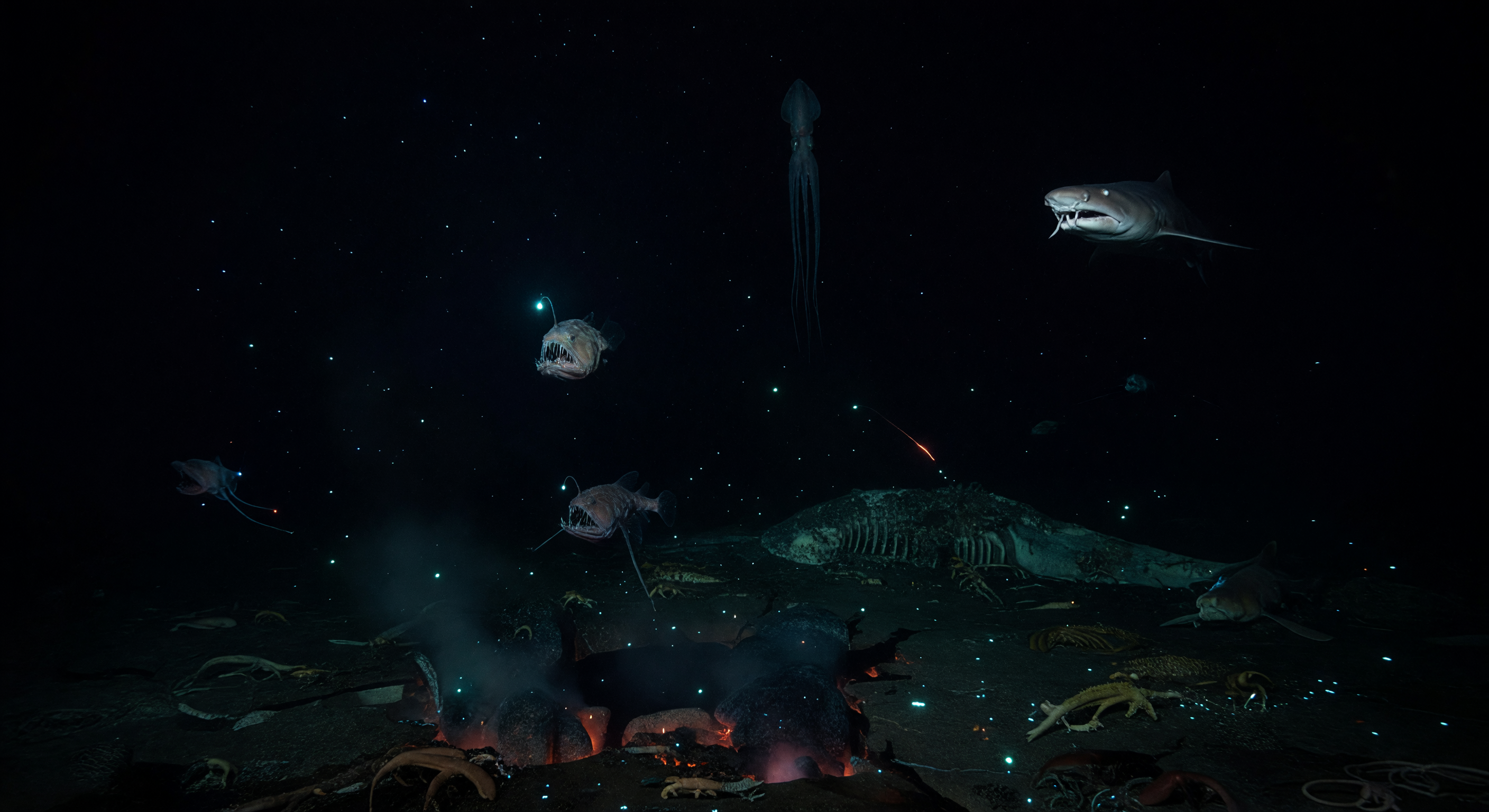 Bathypelagic predators