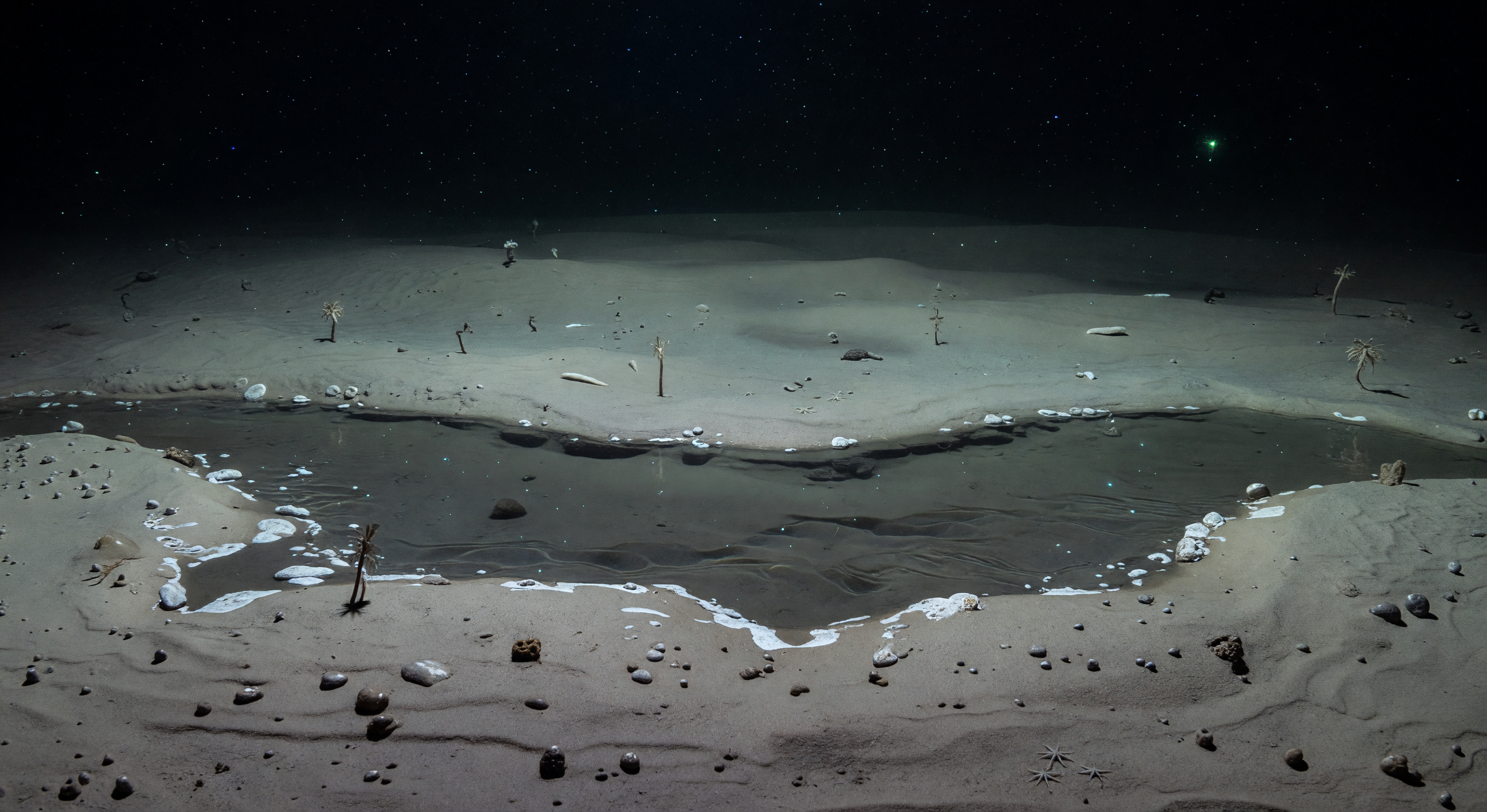 Brine Shoreline Hollow