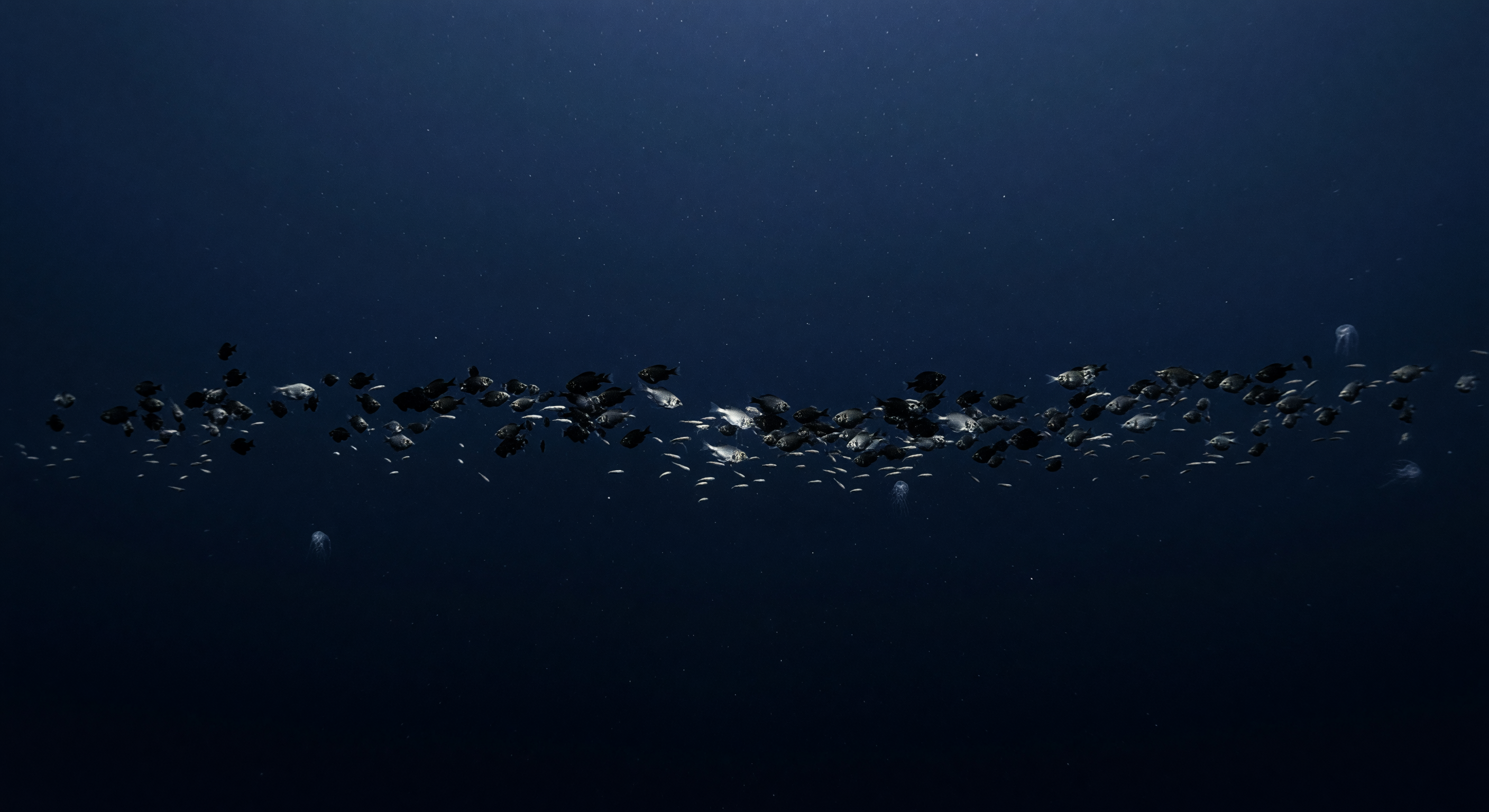 Compressed Oxygen Edge