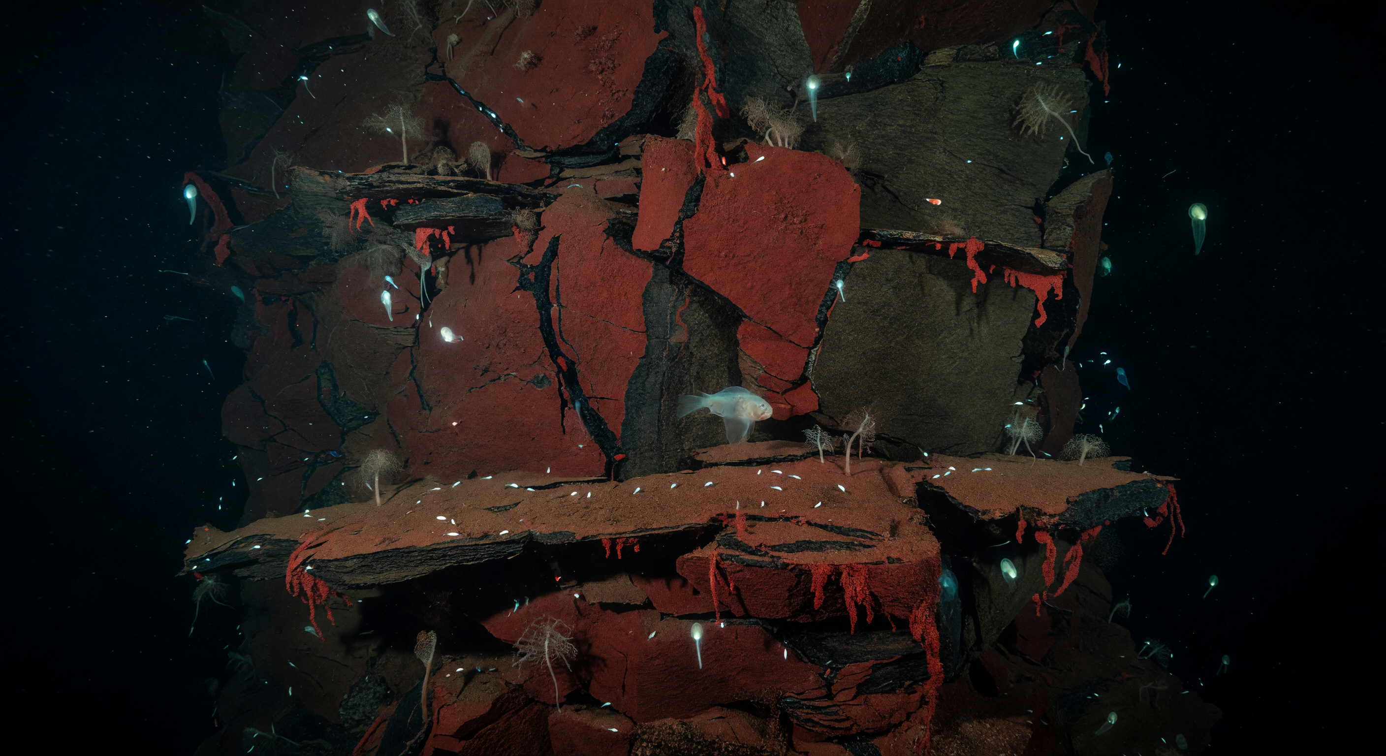 Crimson Wall Descent