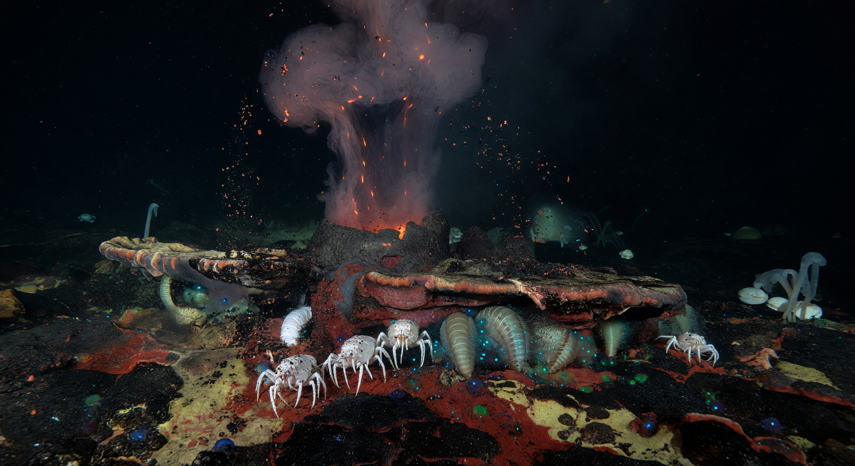 Crustaceans in Falling Ash