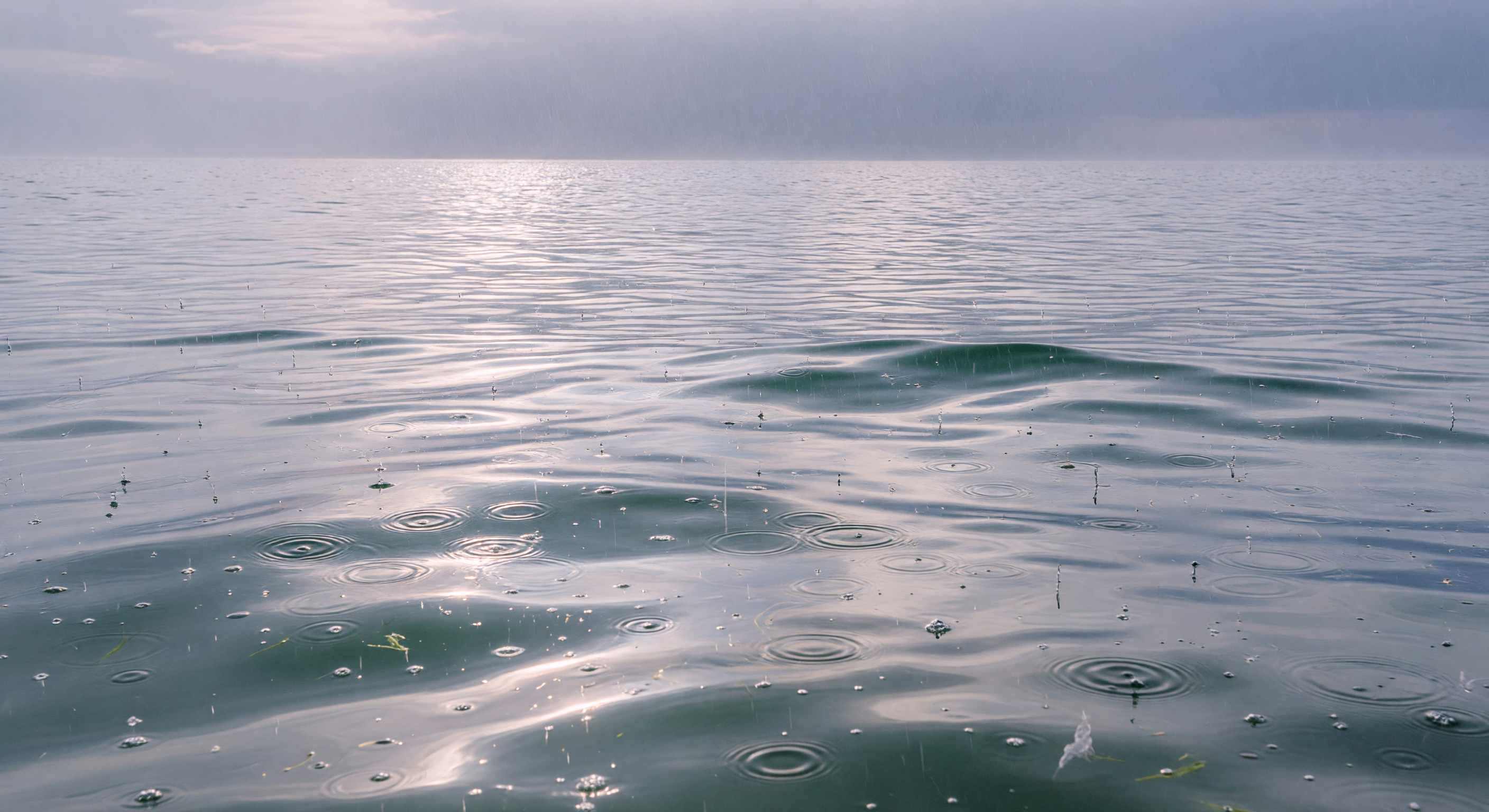 Dawn Rain Over Swell