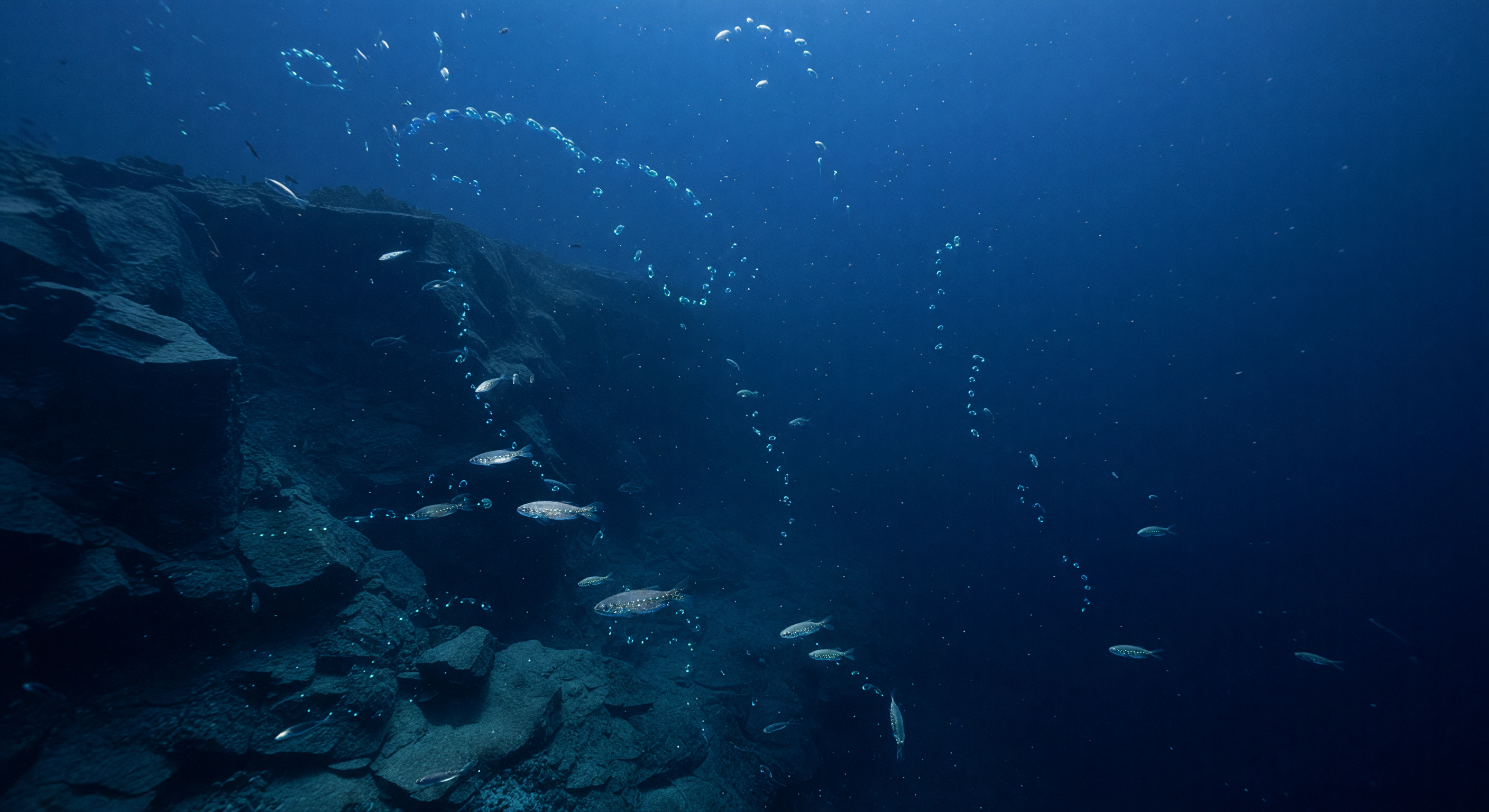 Fantasma del Cañón