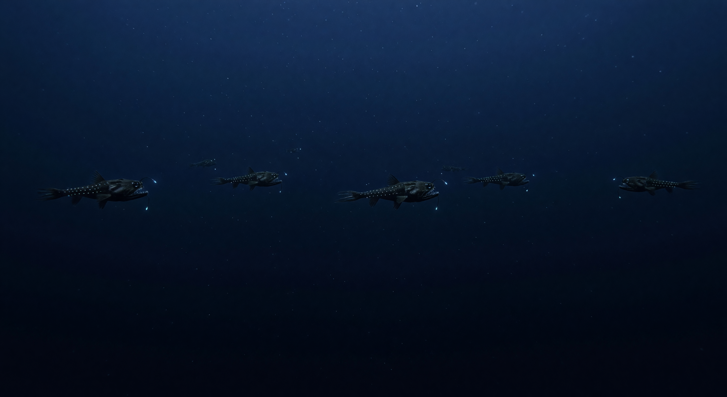 Fila de Linternas Víbora