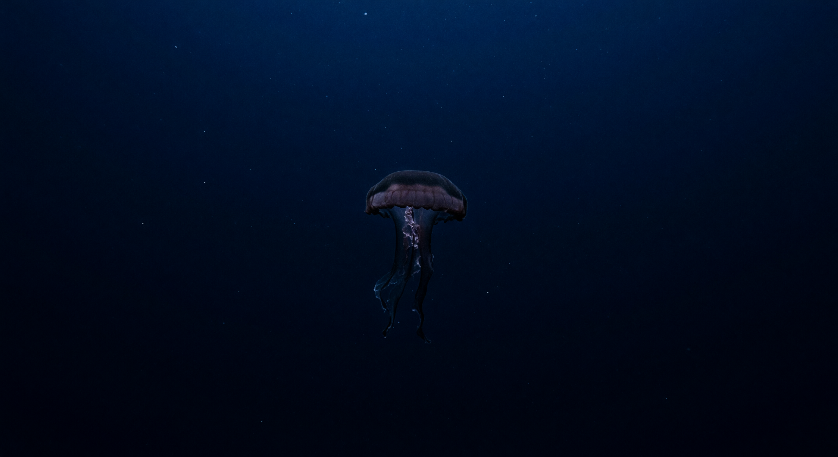 Gigante Solitario en el Vacío