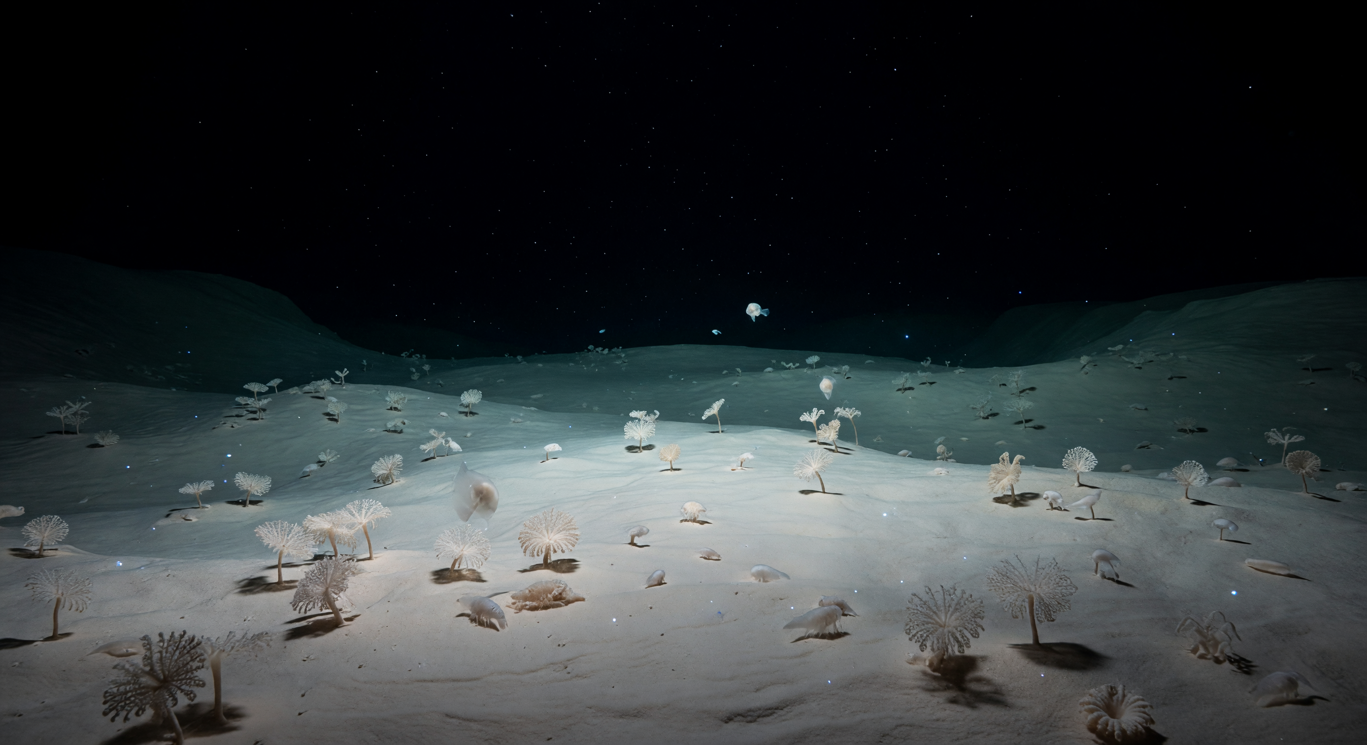 Panorama del Abismo Profundo