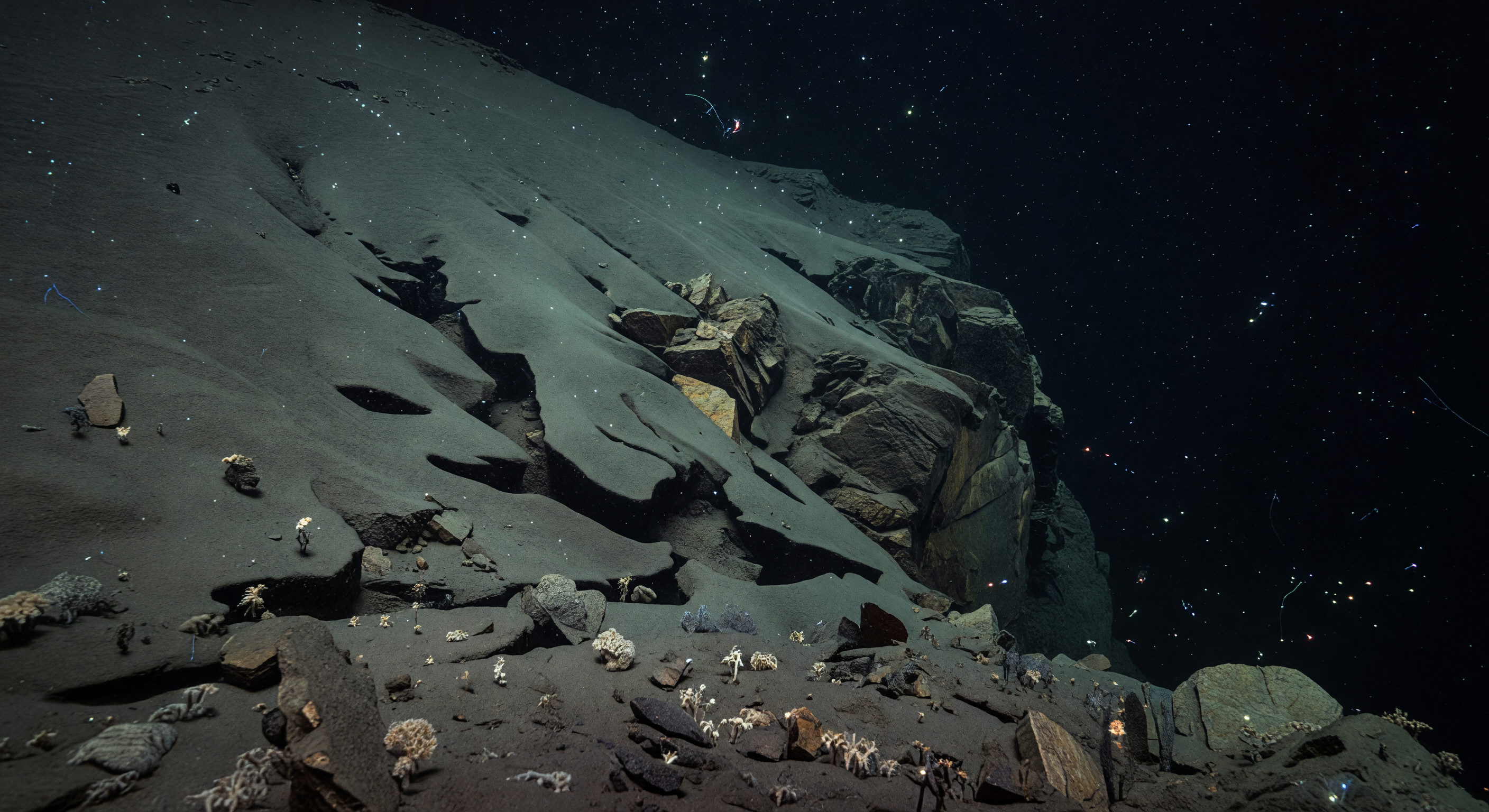 Senderos sobre el Barranco
