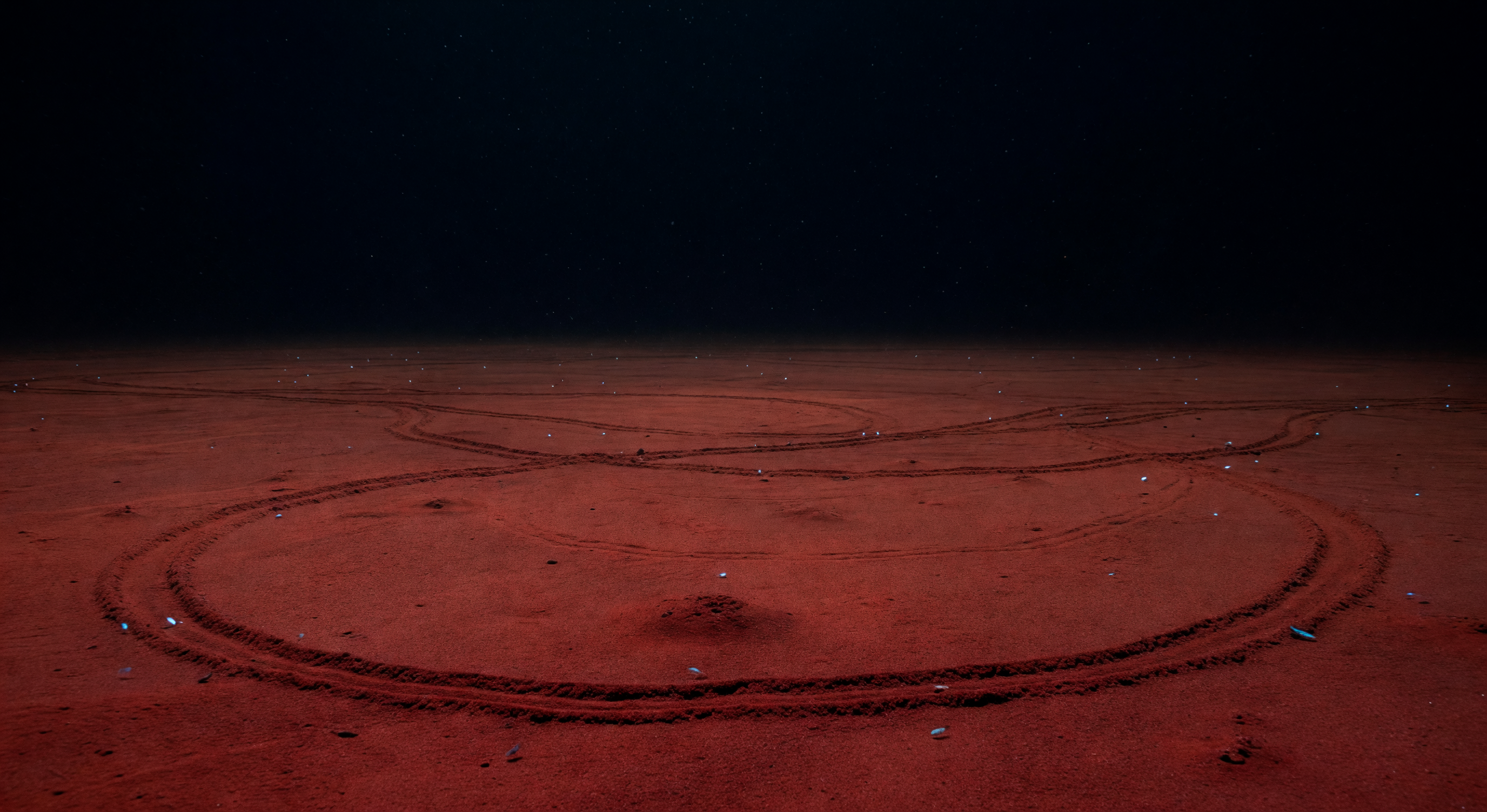 Feeding Tracks in Ooze