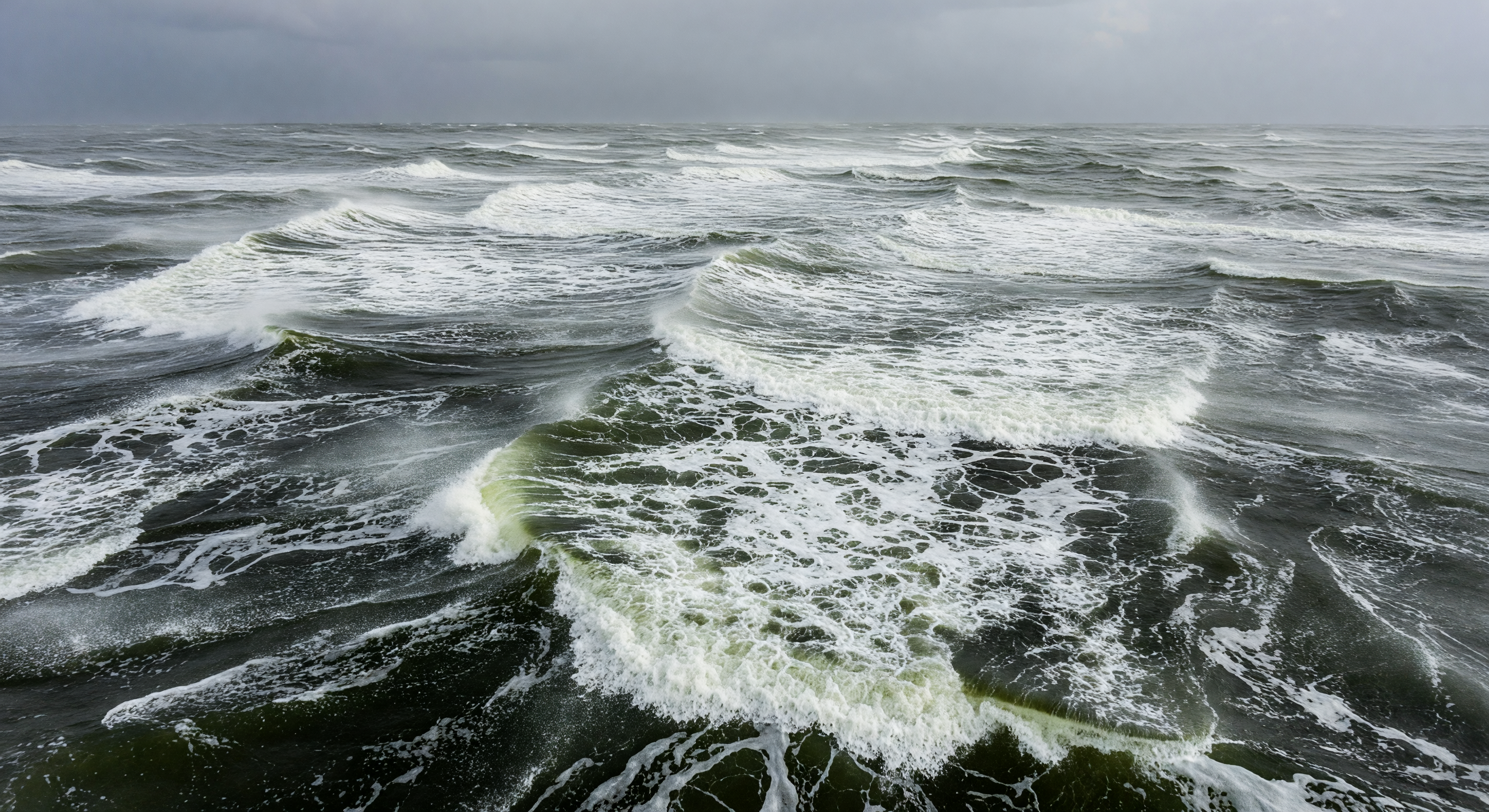 Foam Windrows in Gale