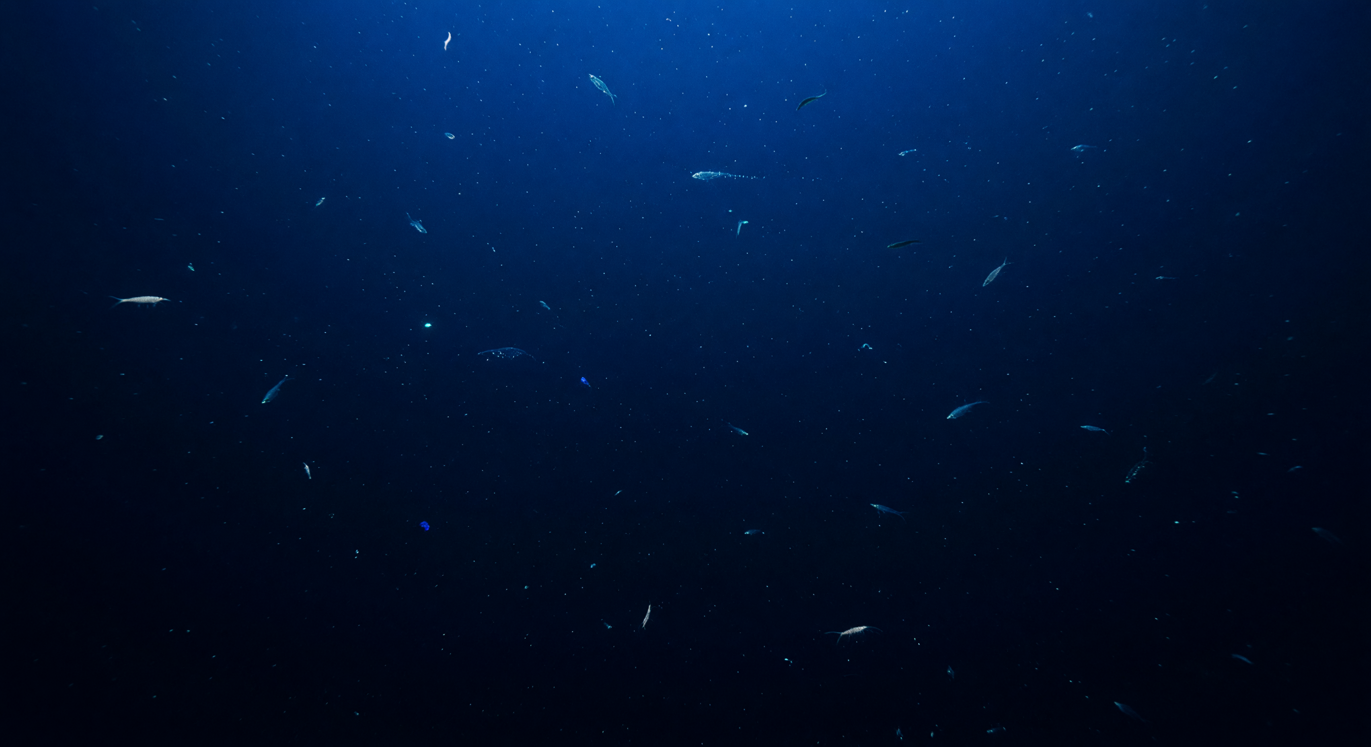 Seuil du Bleu Profond