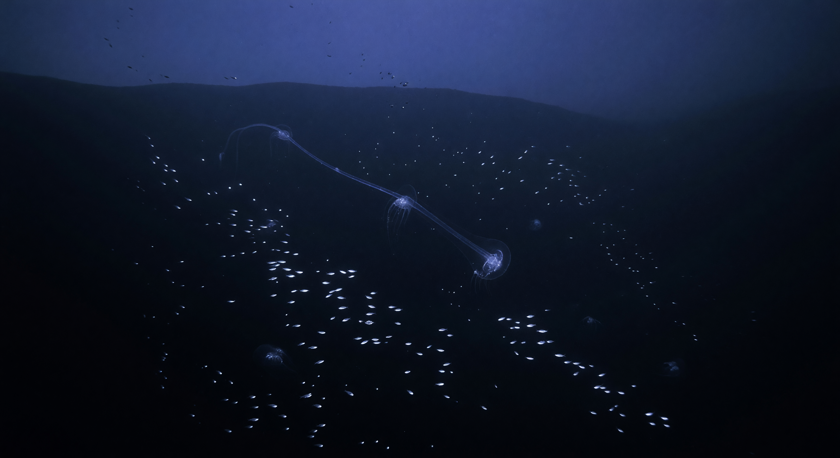 ढलान छोर की पहली चमक