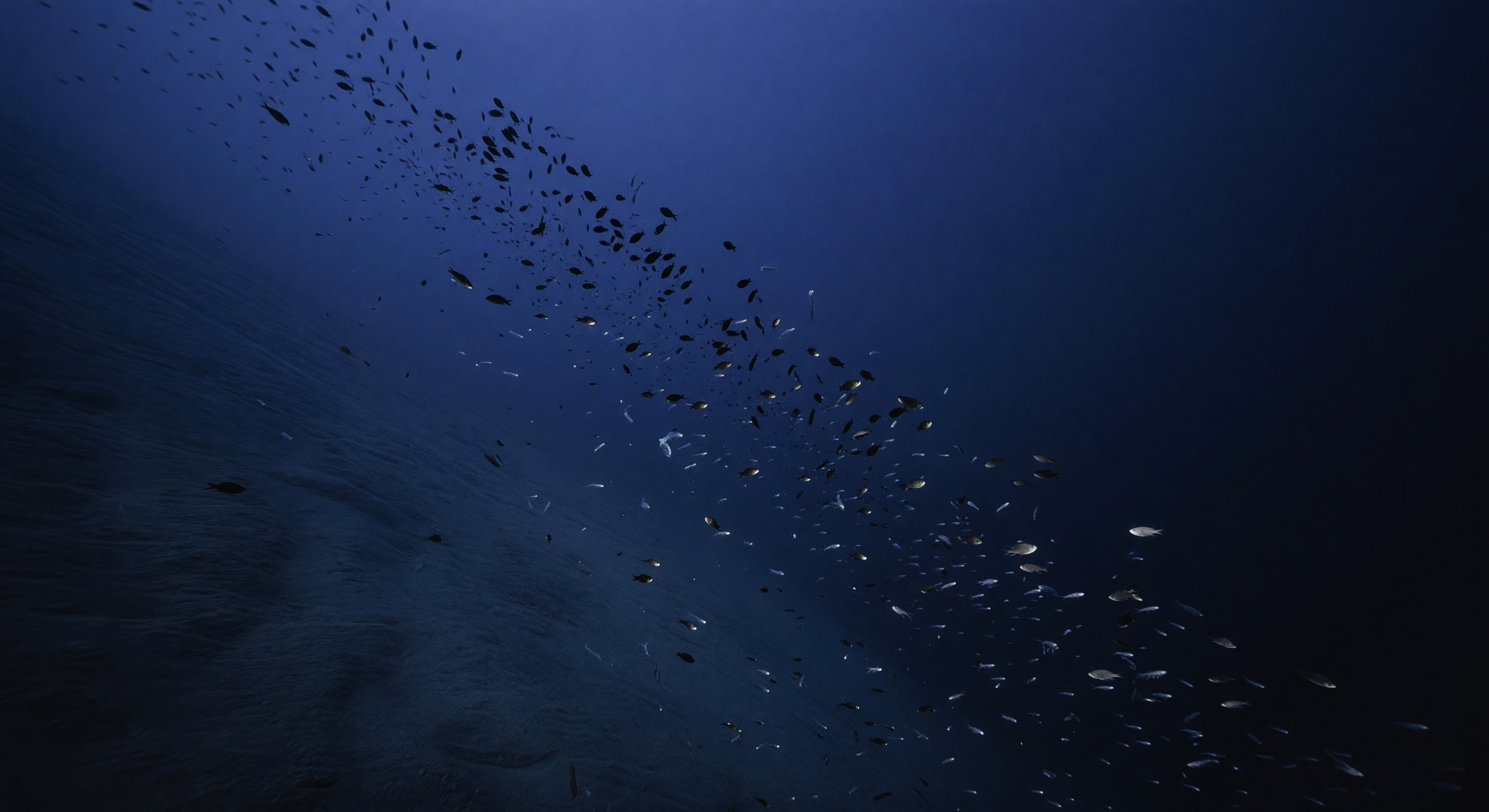 Compressione sulla parete sommersa