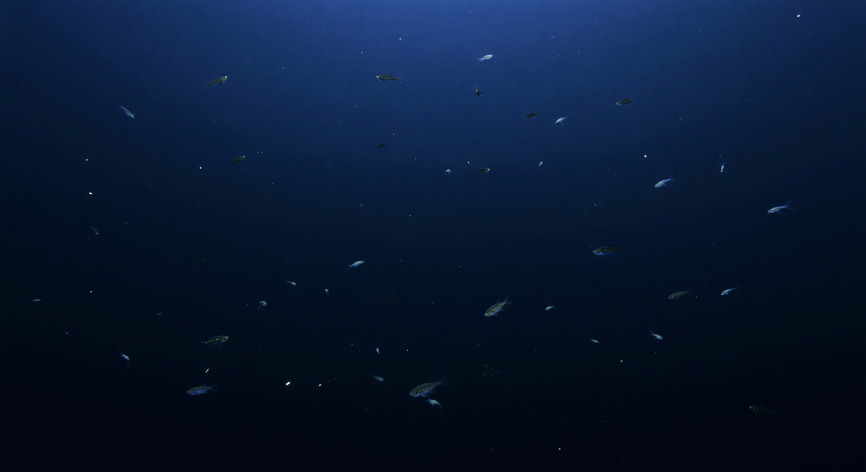 Discesa Blu Residuale