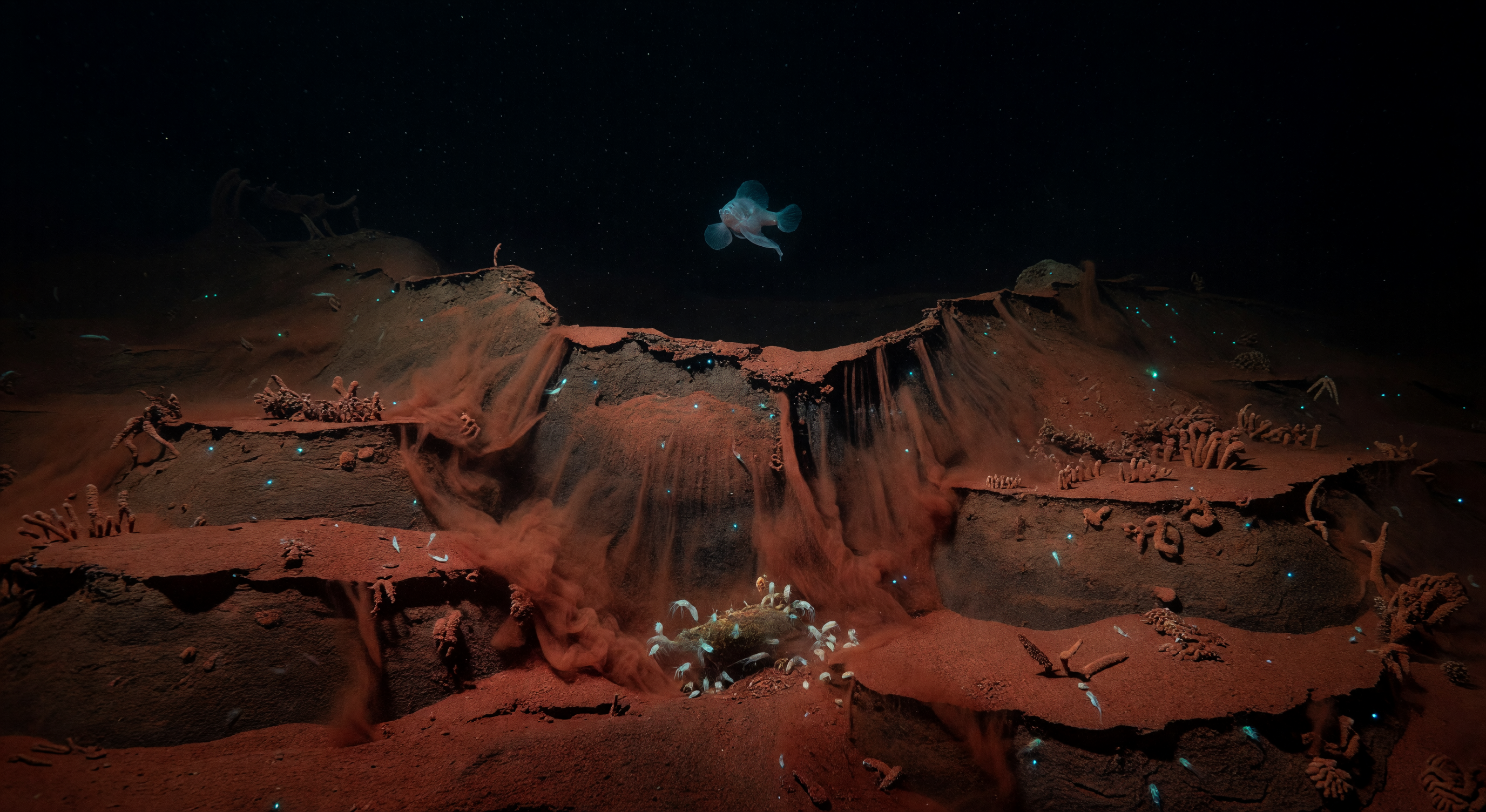 Frana Limo Rugginoso