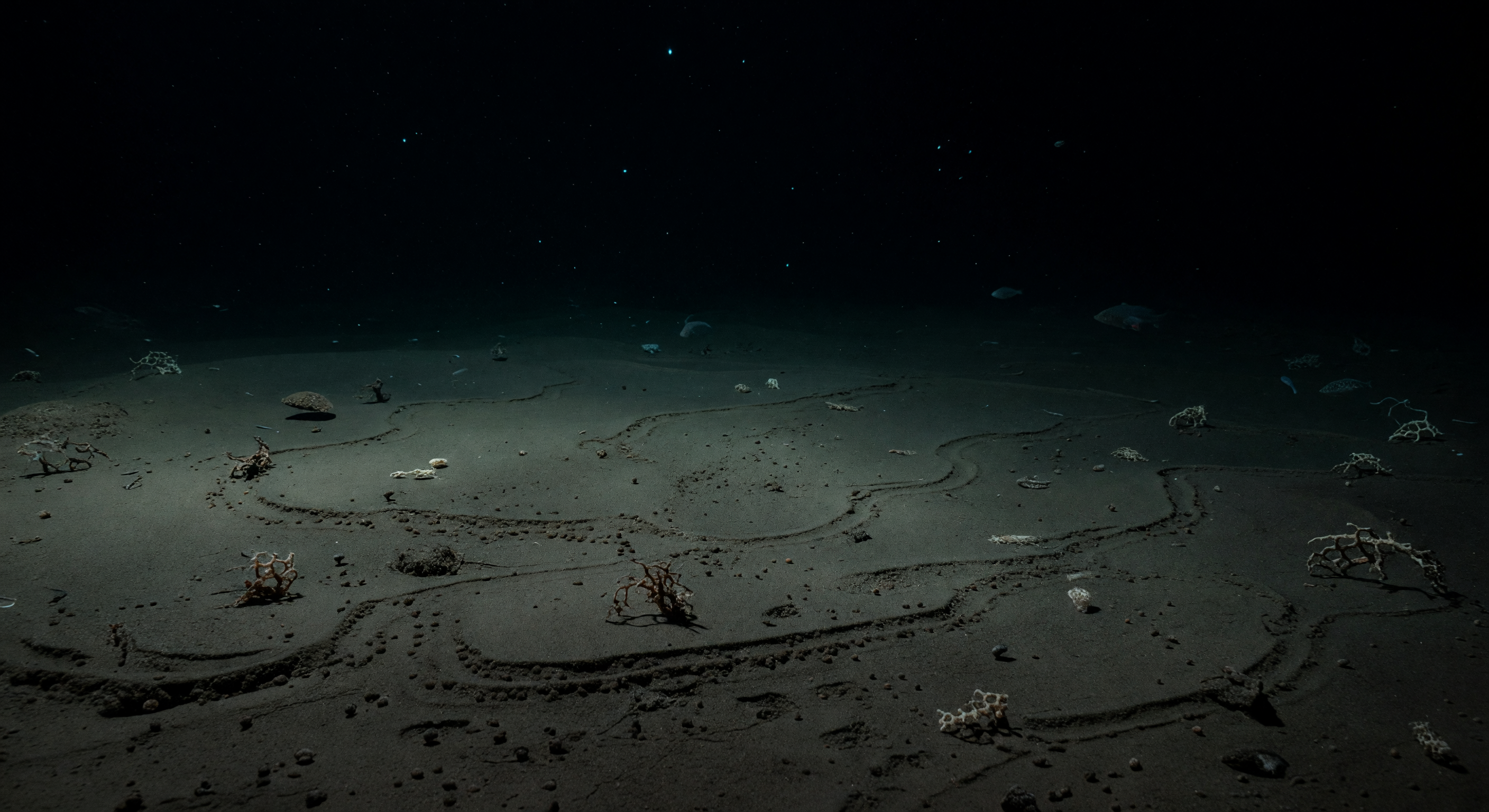 Mosaico di sedimenti scritti