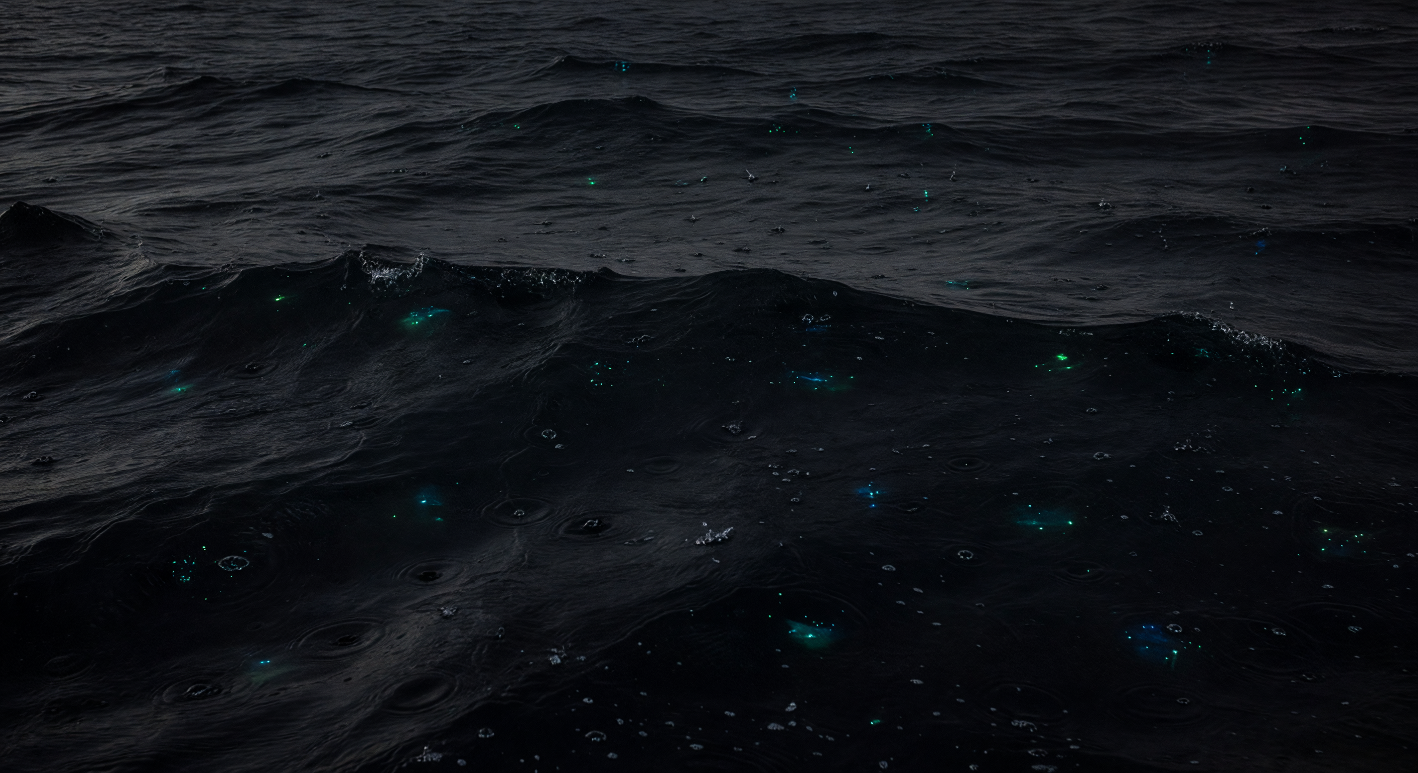 Pioggia Bioluminescente