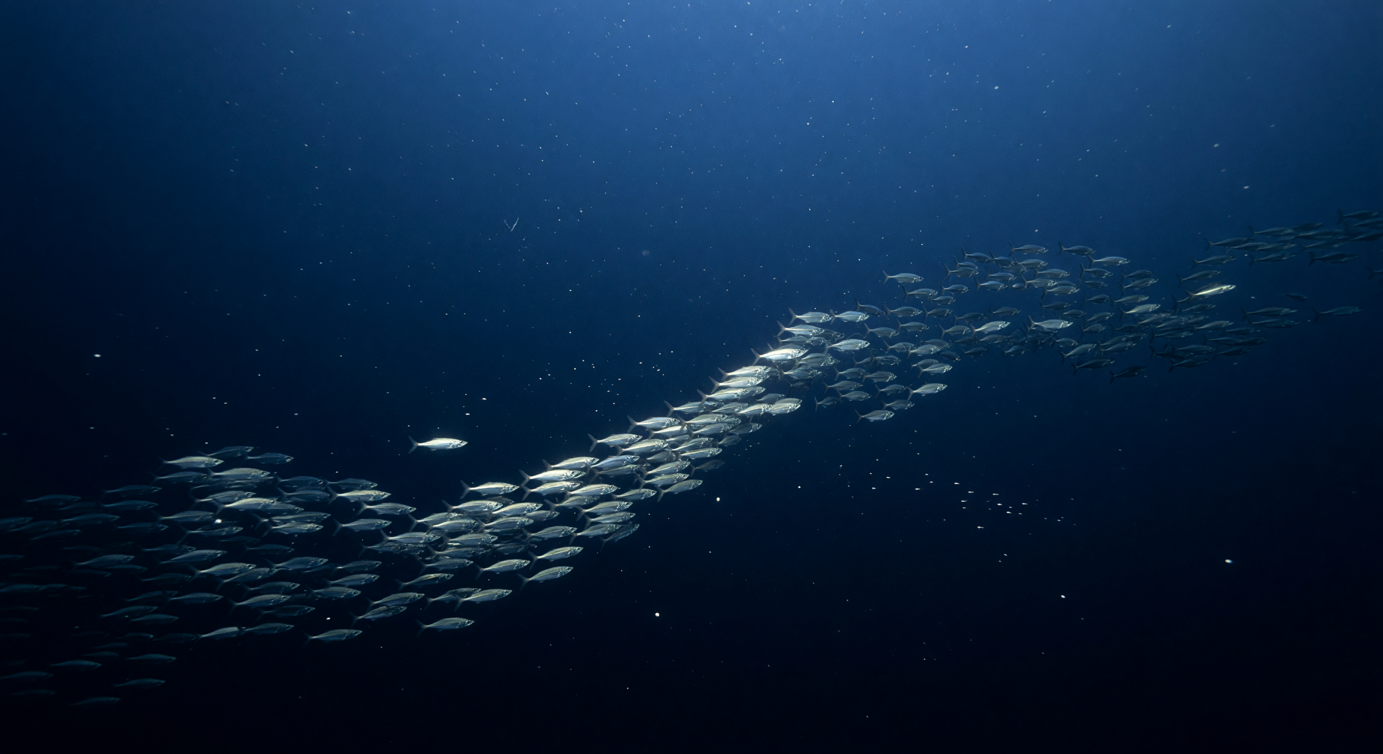 Traversata del Torrente Perlato