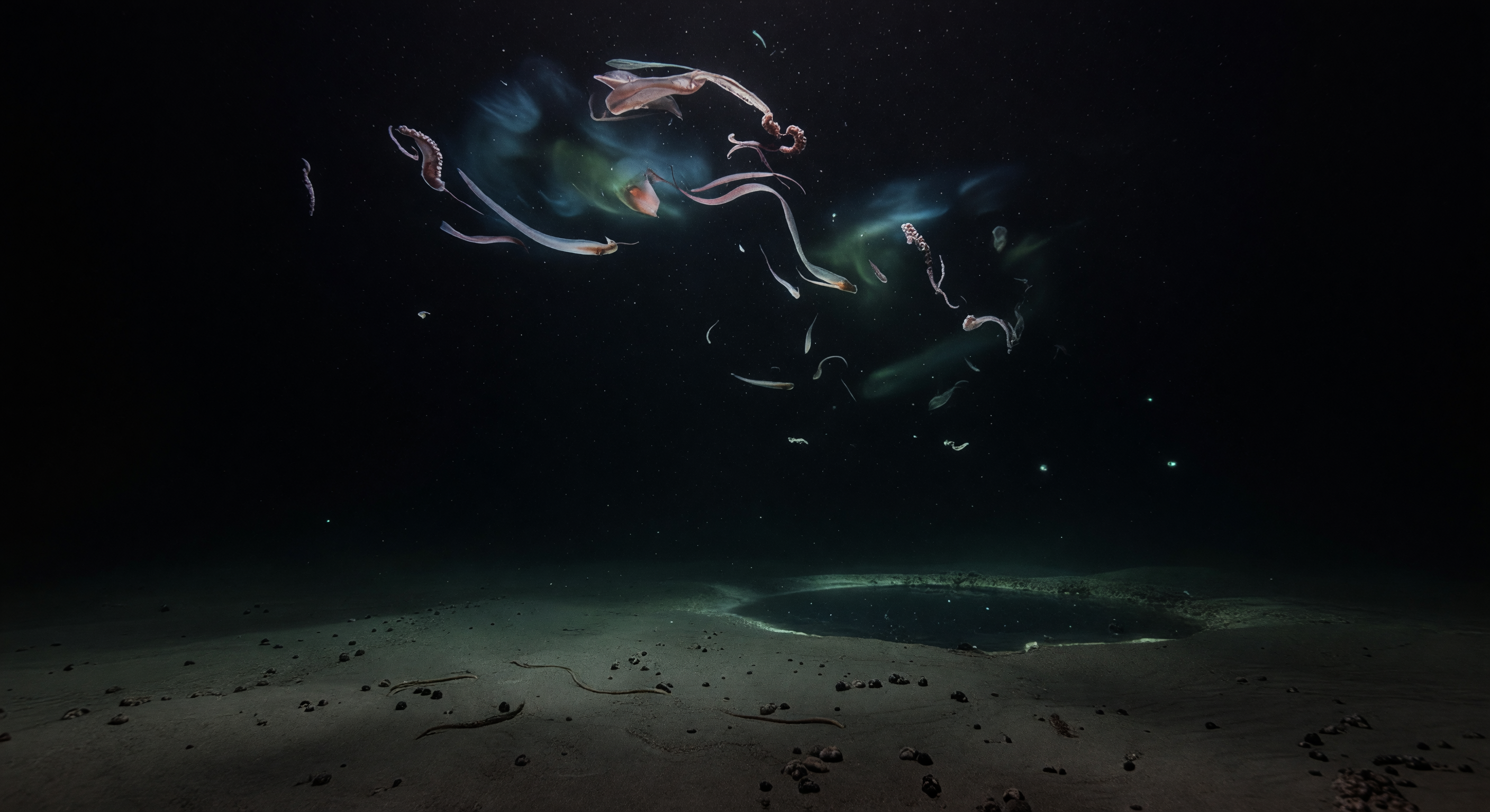 深海平原の残骸