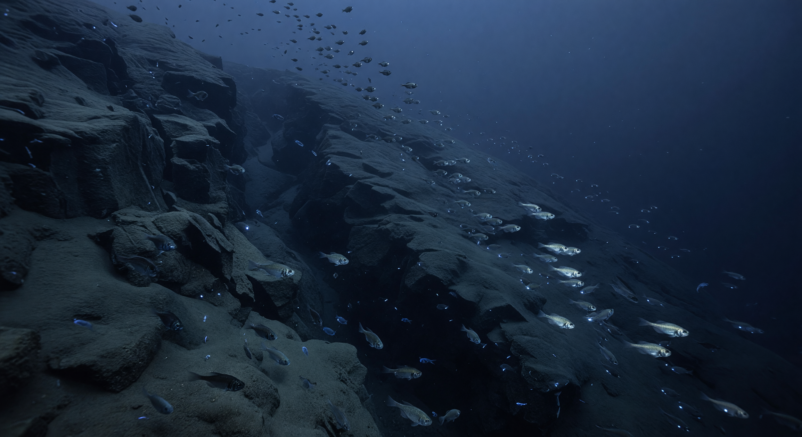 Lanternfish Conveyor Belt