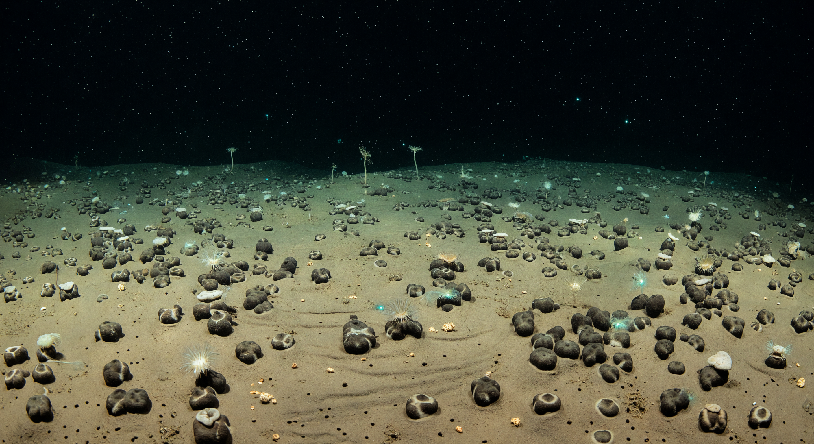 Nodule Pavement Desert