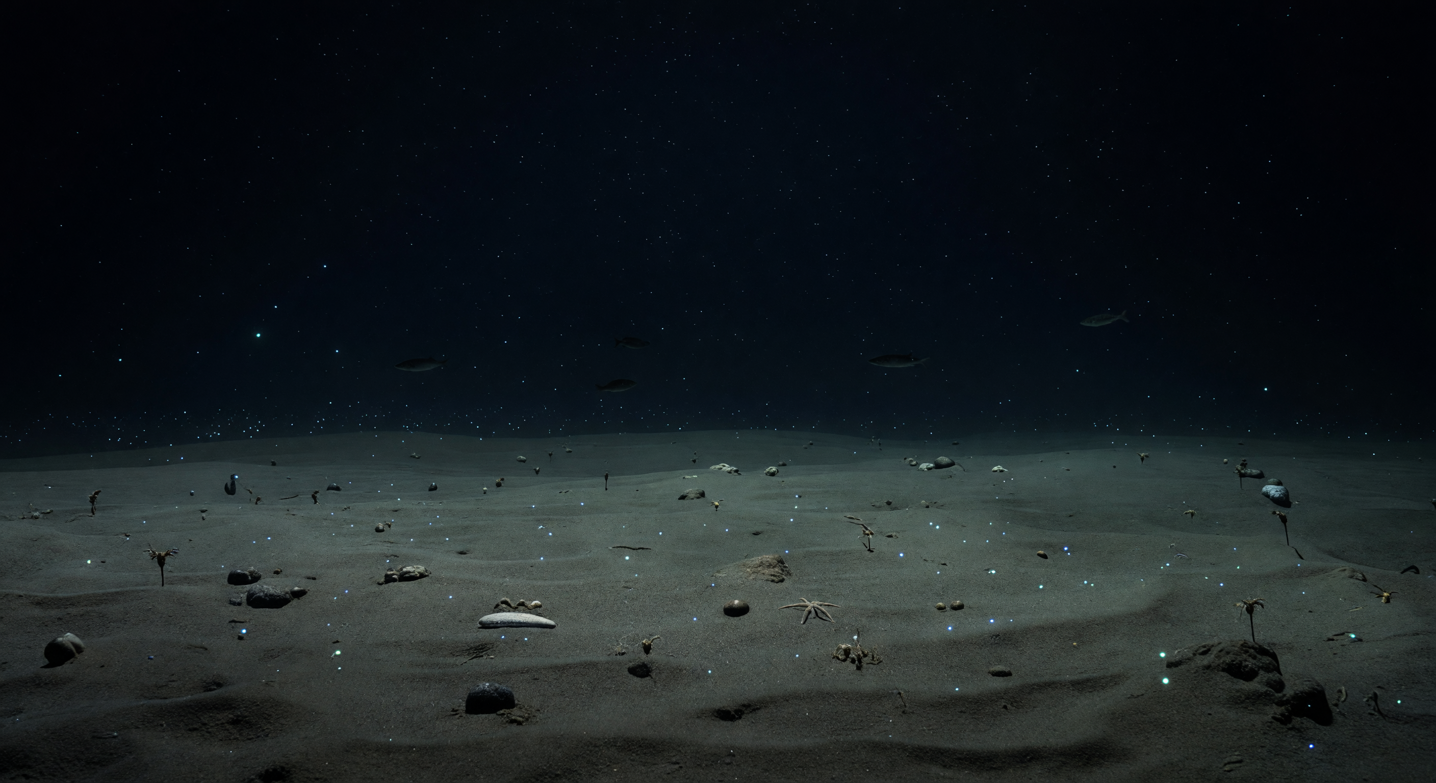 Quiet Benthopelagic Margin