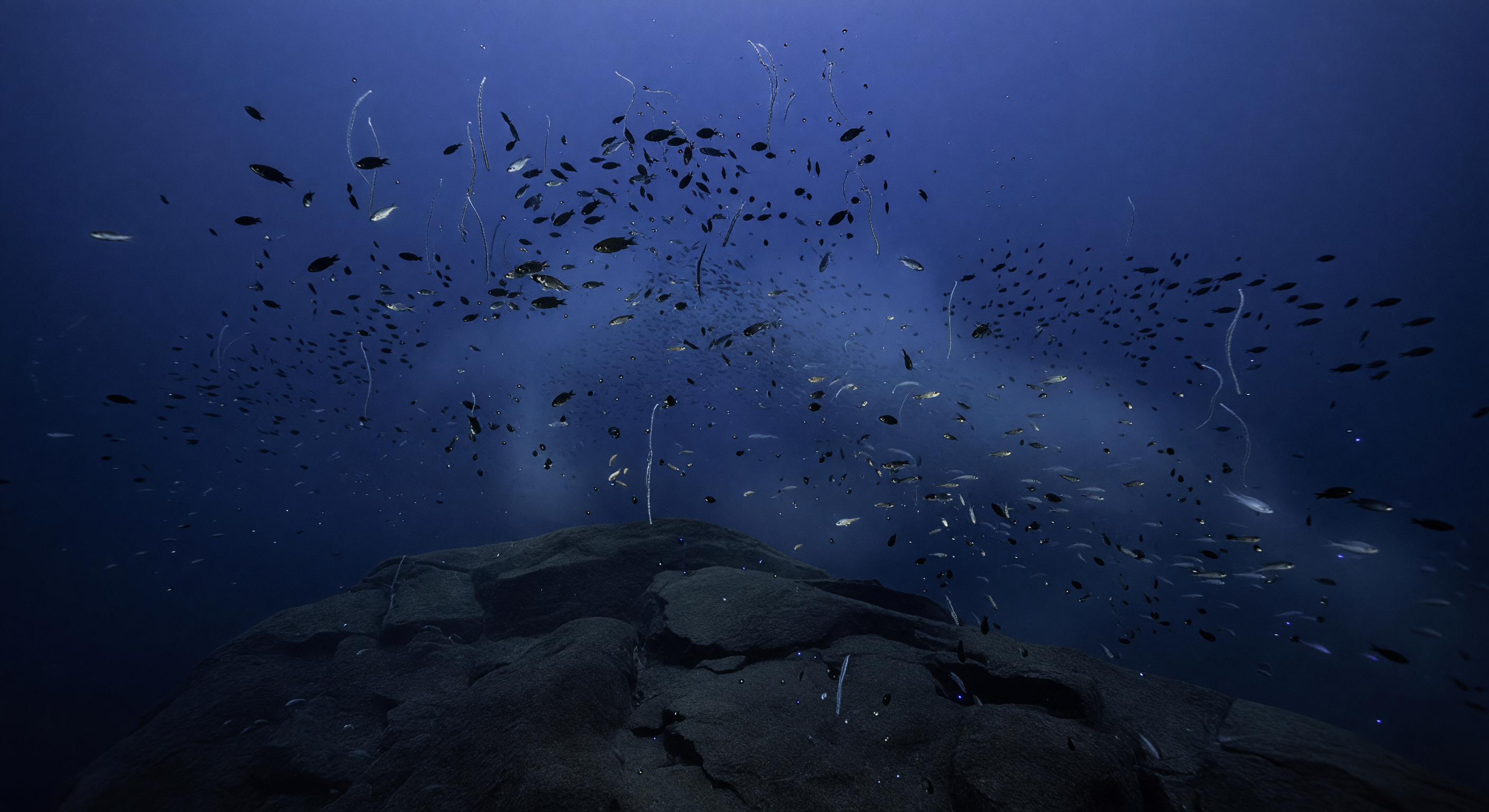 Seamount Shadow Layer