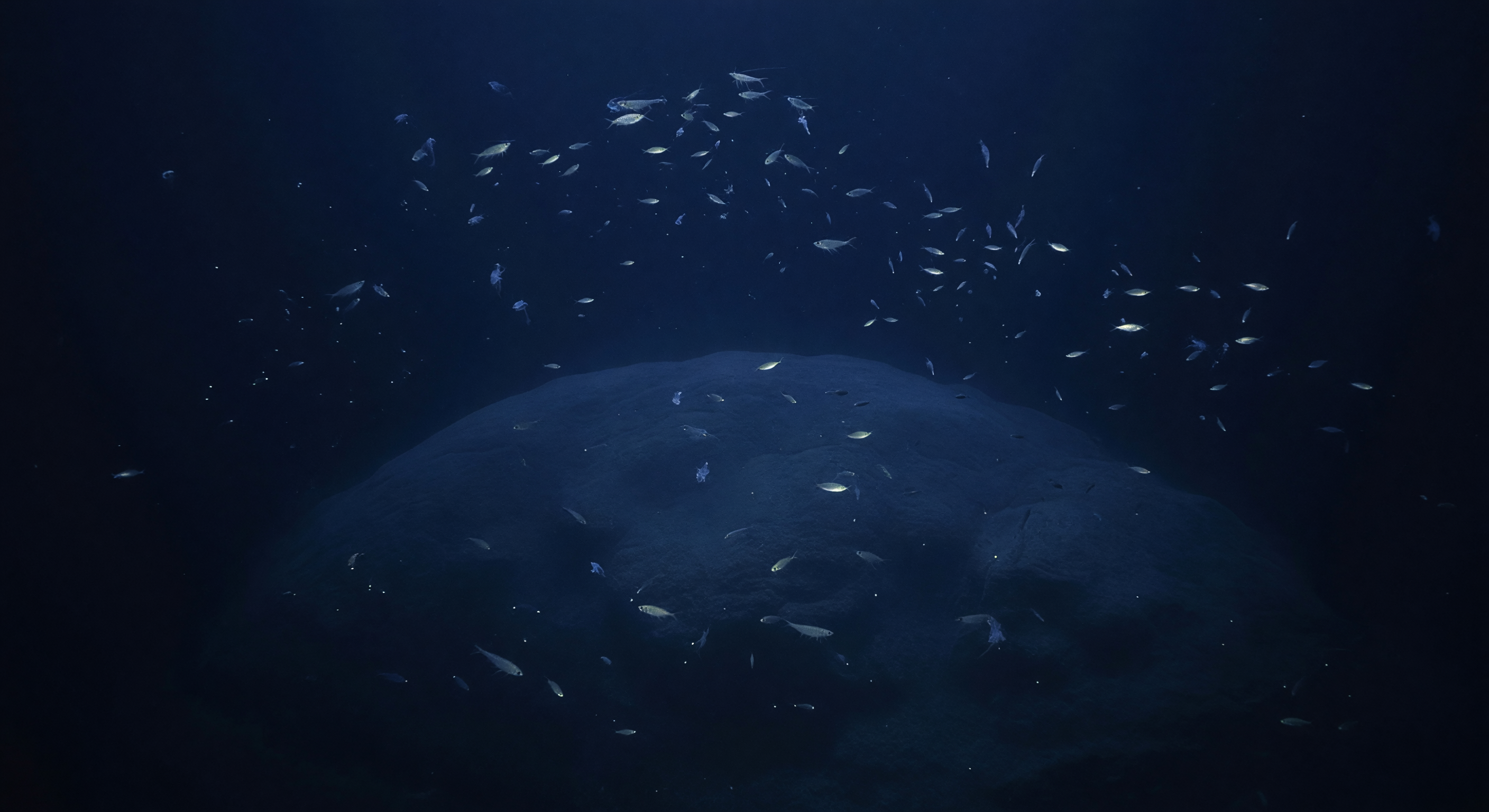 Seamount Shoulder Haze