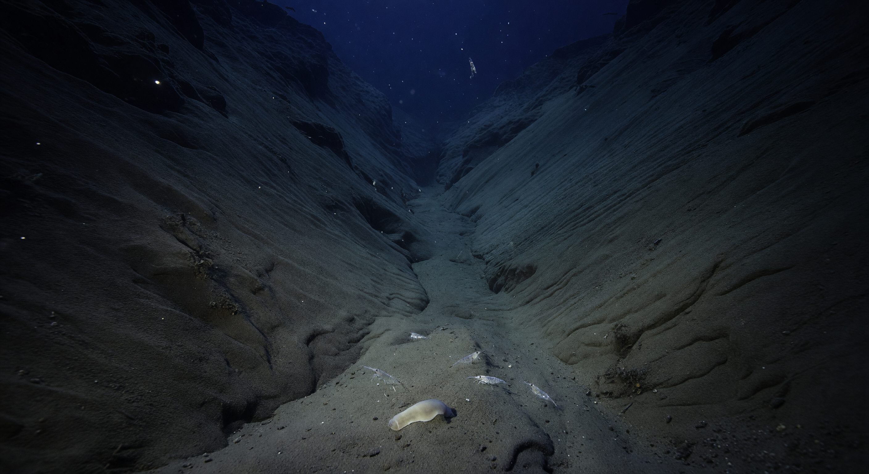 Sediment Chute Watch