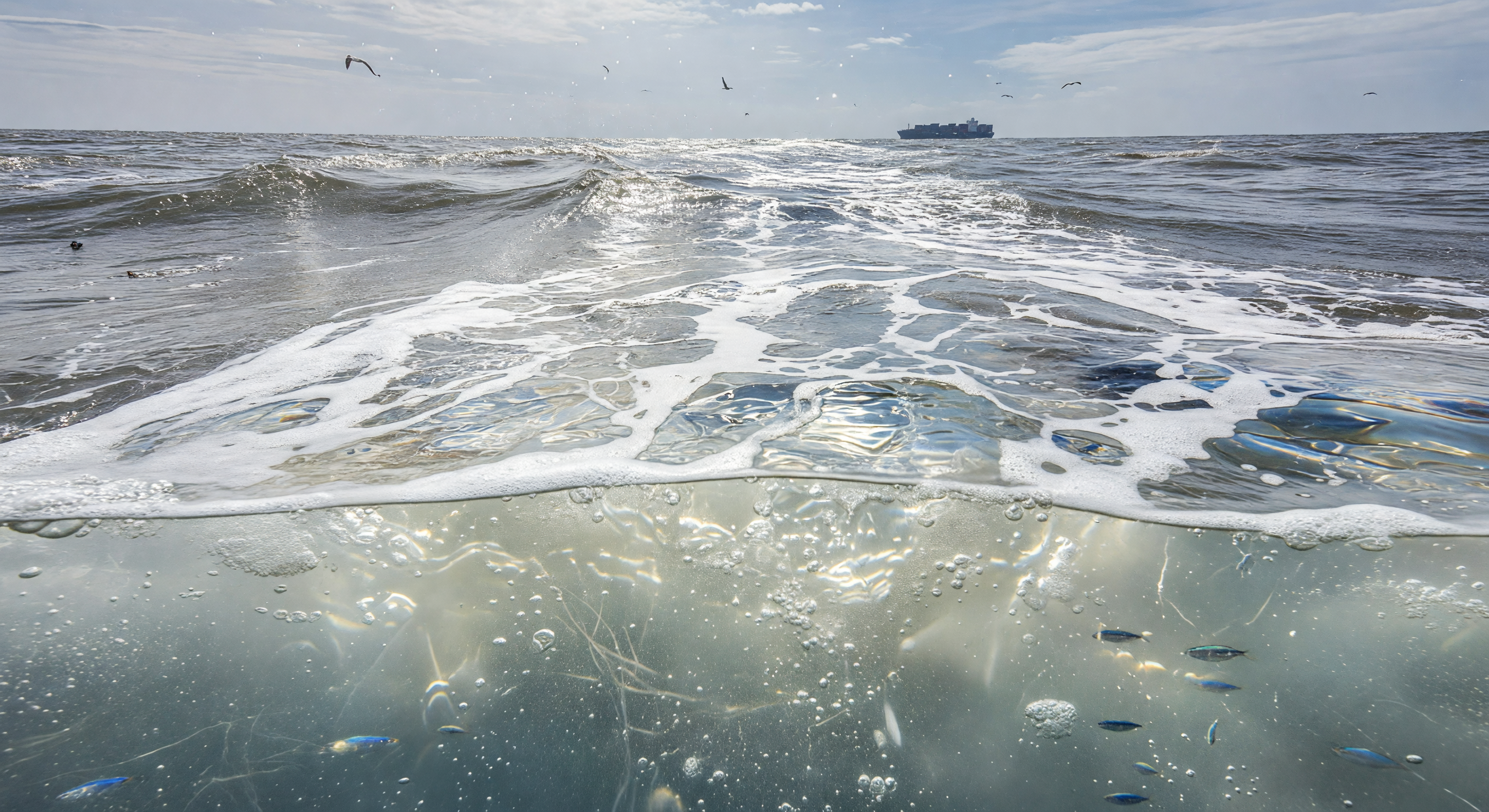 Shipping Lane Whitecaps