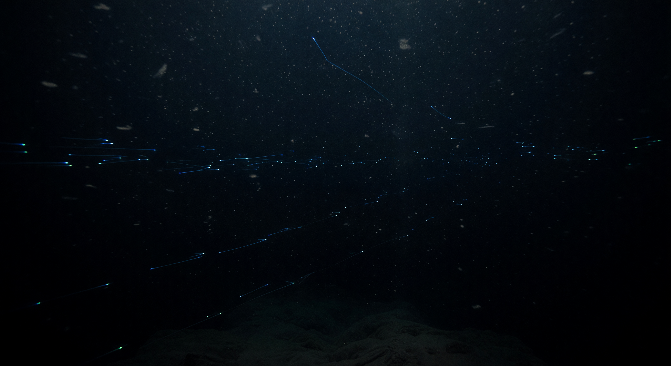 Trailing Cold Sparks