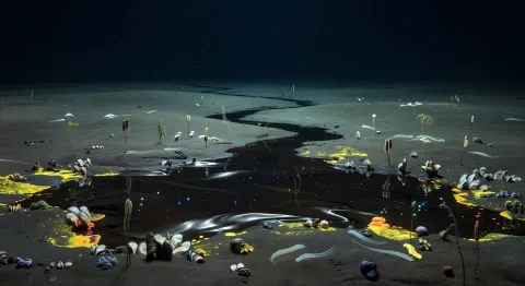Abyssal brine pools