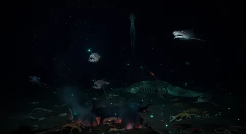 Bathypelagic predators