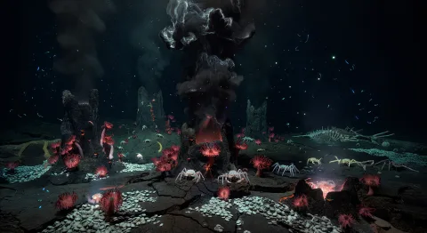 Hydrothermal vents